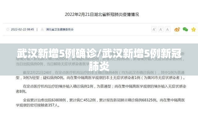 武汉新增5例确诊/武汉新增5例新冠肺炎 武汉新增5例确诊/武汉新增5例新冠肺炎