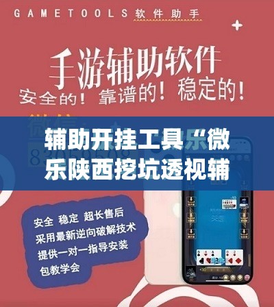 辅助开挂工具“微乐陕西挖坑透视辅助软件	”开挂(透视)最新辅助详细