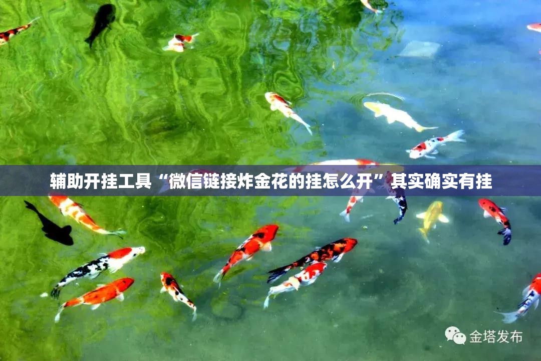 辅助开挂工具“微信链接炸金花的挂怎么开	”其实确实有挂