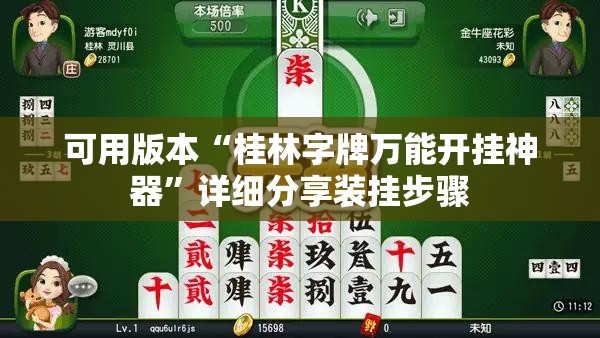 可用版本“桂林字牌万能开挂神器”详细分享装挂步骤