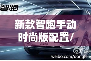 新款智跑手动时尚版配置/2019款智跑手动