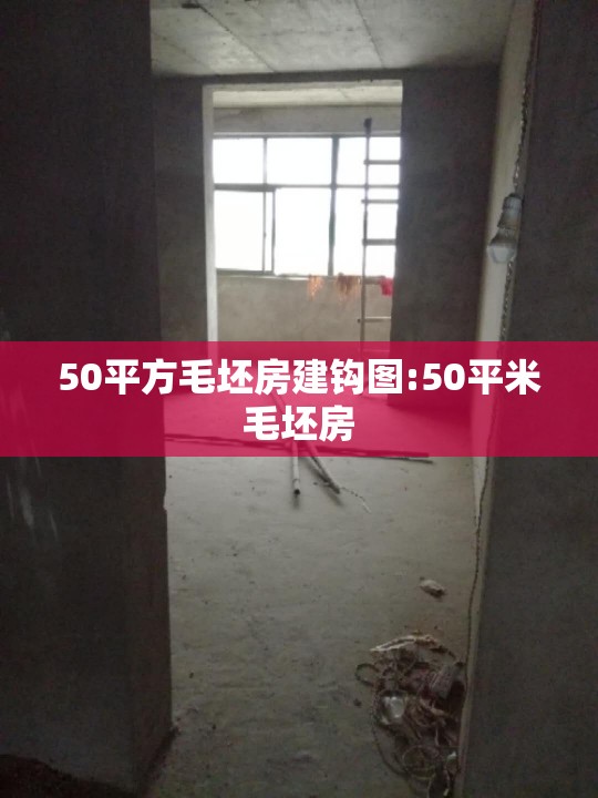 50平方毛坯房建钩图:50平米毛坯房 50平方毛坯房建钩图:50平米毛坯房