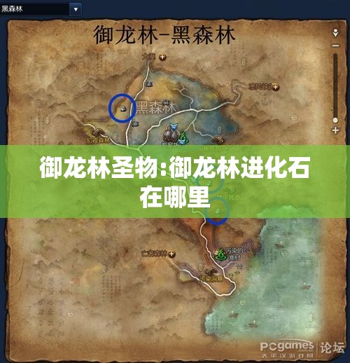 御龙林圣物:御龙林进化石在哪里