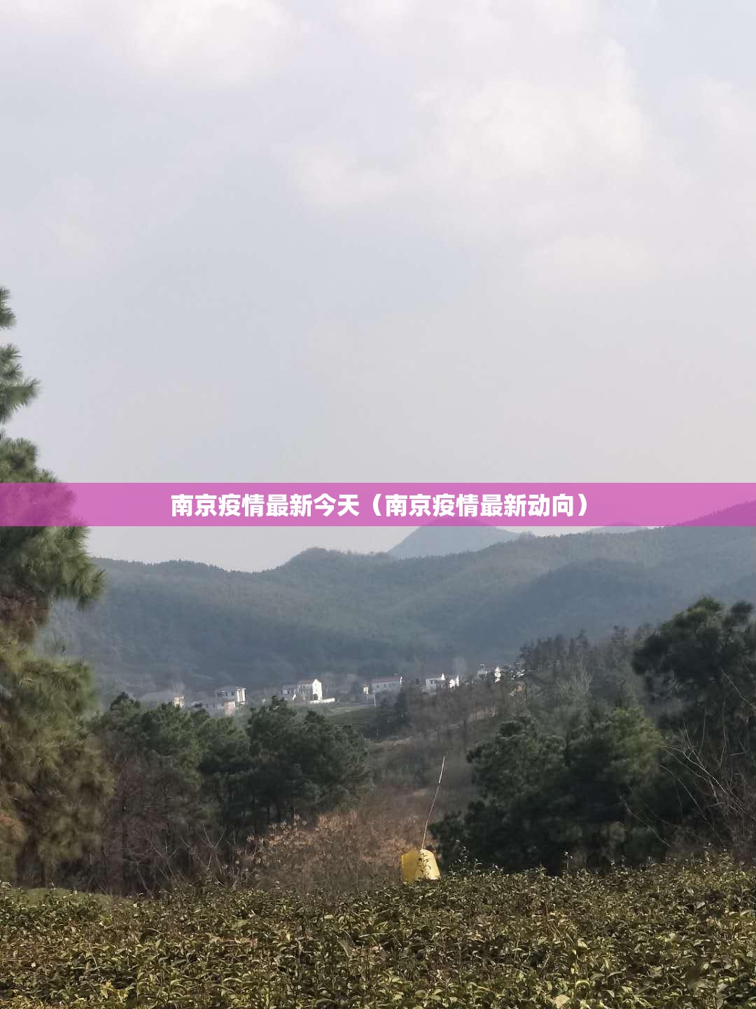 南京疫情最新今天(南京疫情最新动向) 南京疫情最新今天(南京疫情最新动向)