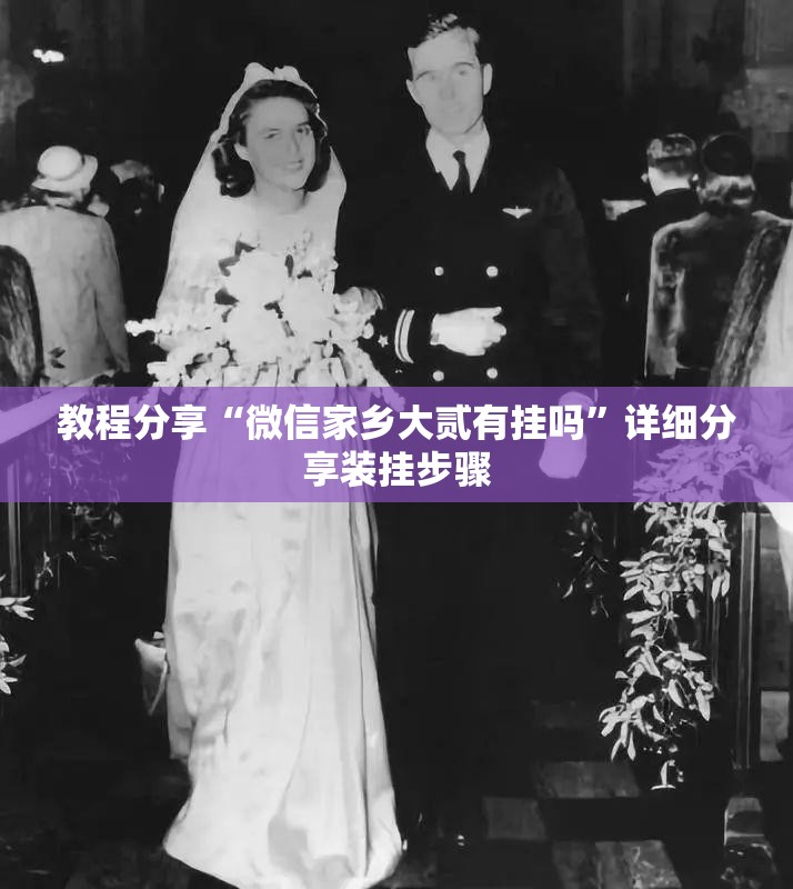 教程分享“微信家乡大贰有挂吗	”详细分享装挂步骤
