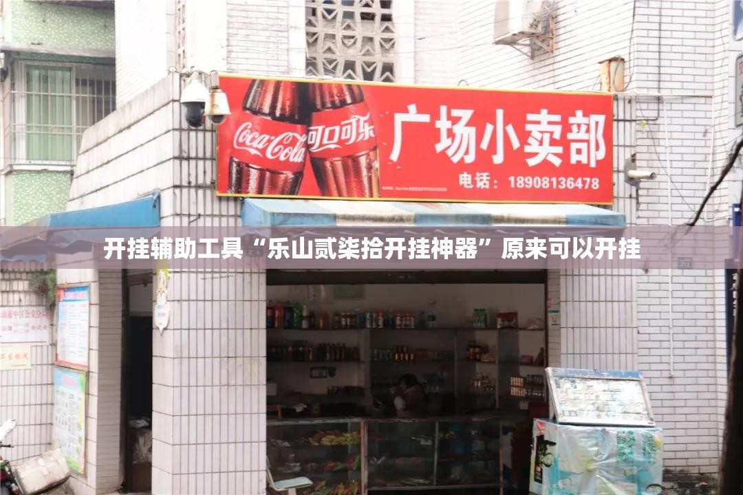 开挂辅助工具“乐山贰柒拾开挂神器”原来可以开挂