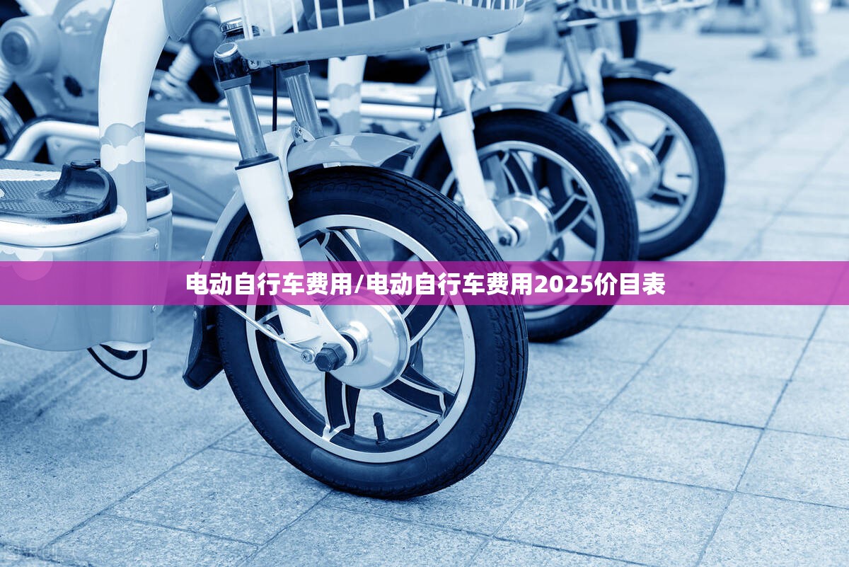 电动自行车费用/电动自行车费用2025价目表