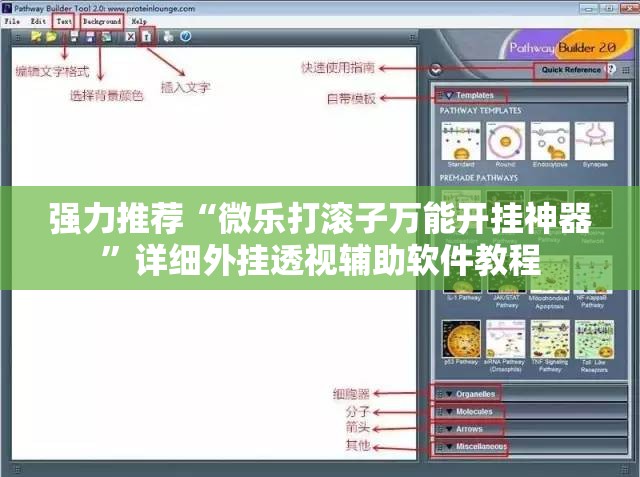 强力推荐“微乐打滚子万能开挂神器	”详细外挂透视辅助软件教程