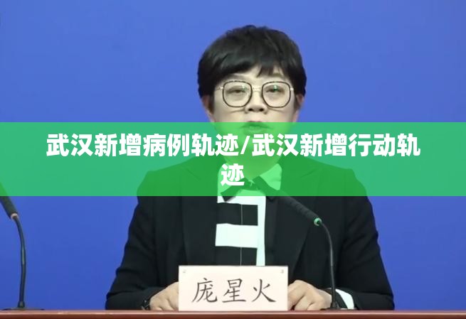 武汉新增病例轨迹/武汉新增行动轨迹