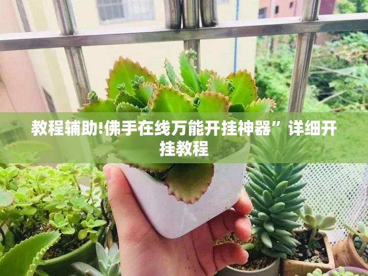 教程辅助!佛手在线万能开挂神器	”详细开挂教程