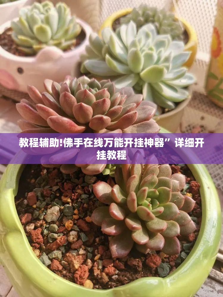 教程辅助!佛手在线万能开挂神器”详细开挂教程