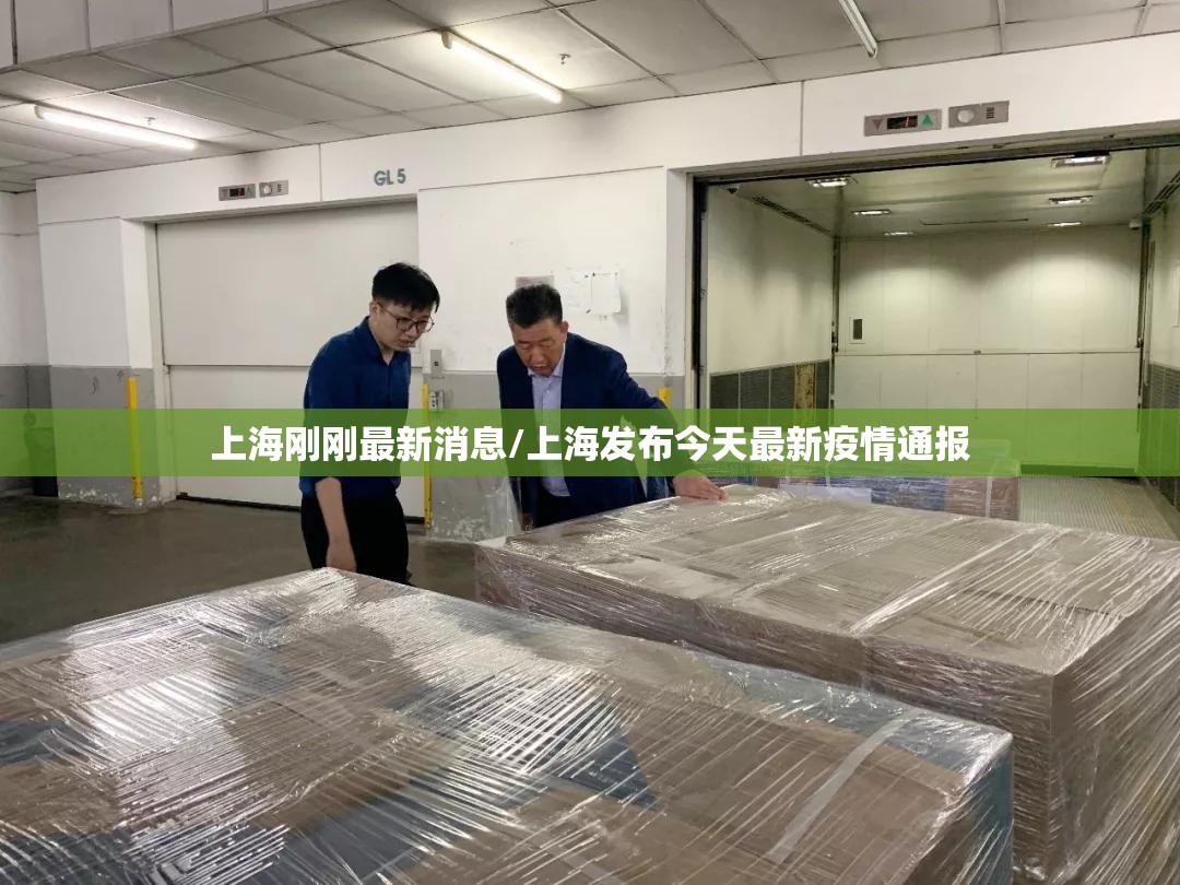 上海刚刚最新消息/上海发布今天最新疫情通报