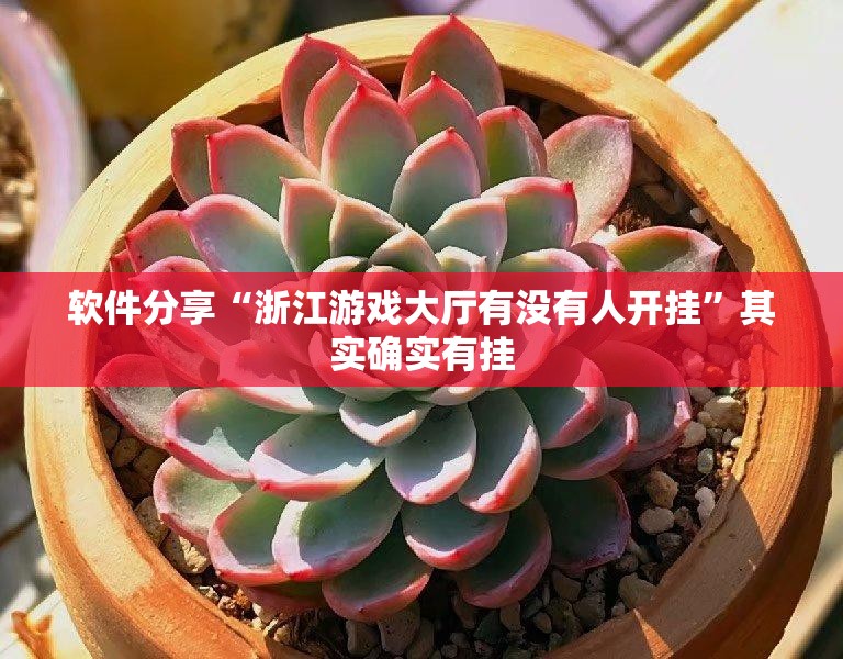 软件分享“浙江游戏大厅有没有人开挂”其实确实有挂
