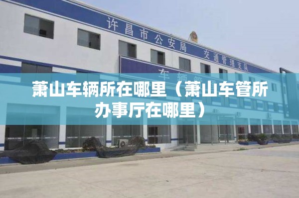萧山车辆所在哪里(萧山车管所办事厅在哪里) 萧山车辆所在哪里(萧山车管所办事厅在哪里)