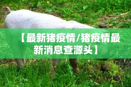 【最新猪疫情/猪疫情最新消息查源头】