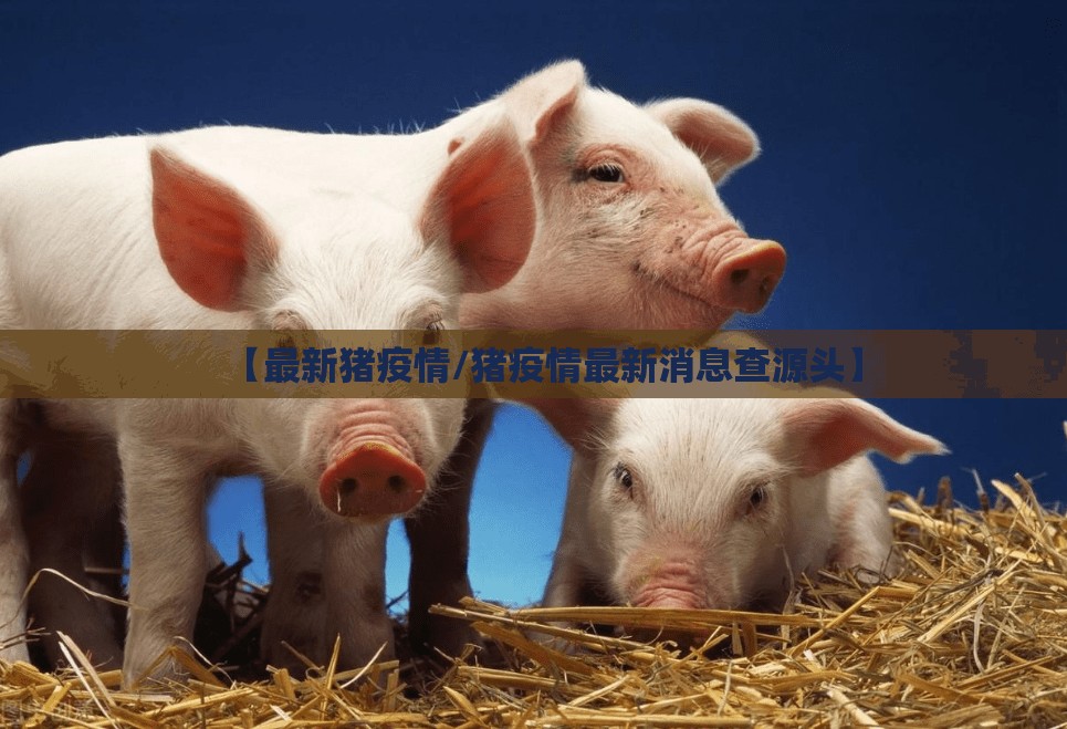 【最新猪疫情/猪疫情最新消息查源头】