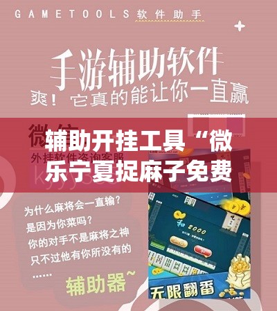 辅助开挂工具“微乐宁夏捉麻子免费房间怎么开免费挂(透视)”开挂辅助脚本+详细开挂安装教程