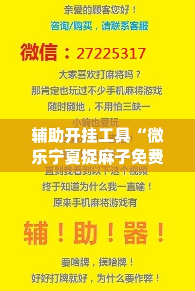 辅助开挂工具“微乐宁夏捉麻子免费房间怎么开免费挂(透视)”开挂辅助脚本+详细开挂安装教程