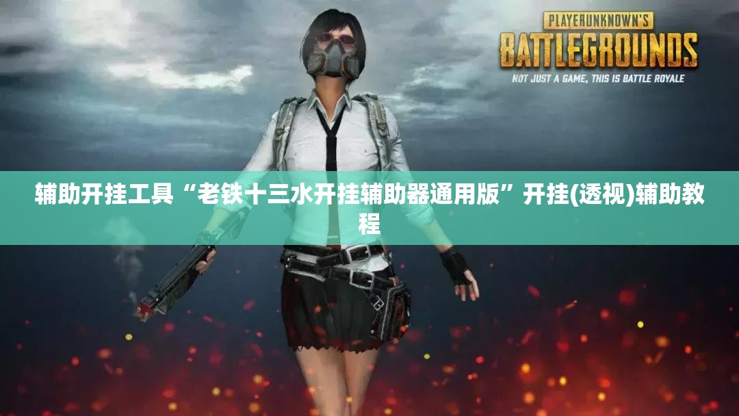 辅助开挂工具“老铁十三水开挂辅助器通用版”开挂(透视)辅助教程