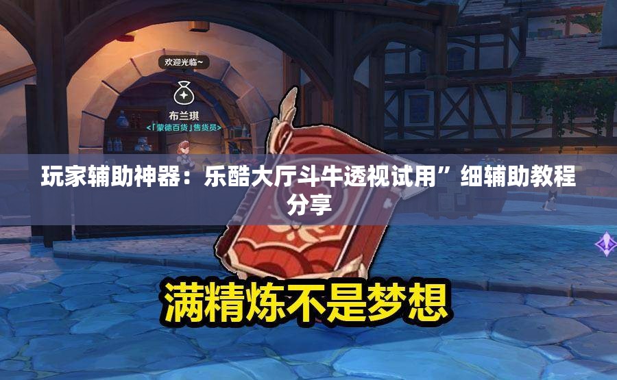 玩家辅助神器：乐酷大厅斗牛透视试用”细辅助教程分享