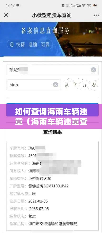 如何查询海南车辆违章(海南车辆违章查询官方网站) 如何查询海南车辆违章(海南车辆违章查询官方网站)