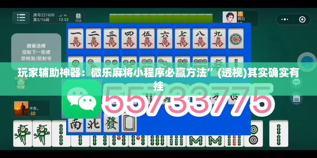 玩家辅助神器：微乐麻将小程序必赢方法”(透视)其实确实有挂