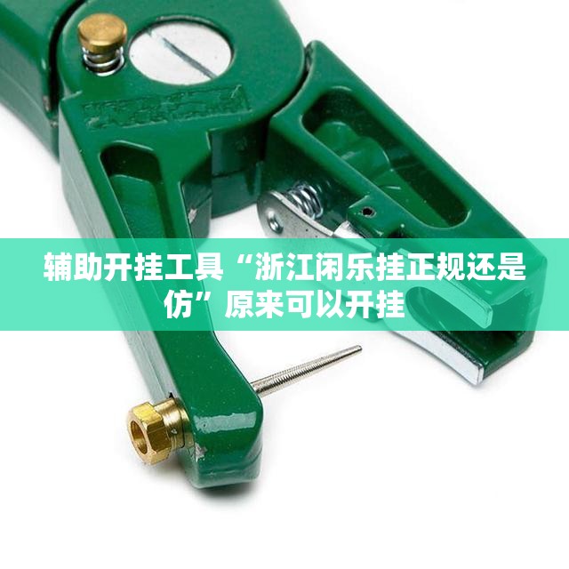 辅助开挂工具“浙江闲乐挂正规还是仿	”原来可以开挂