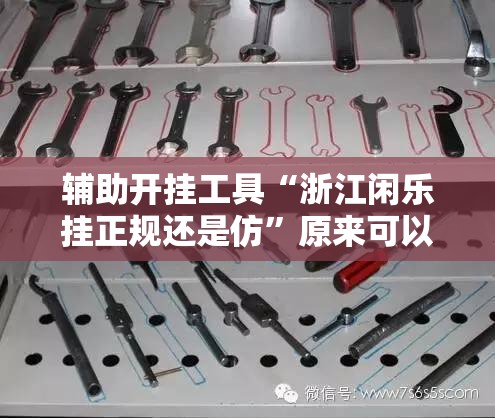 辅助开挂工具“浙江闲乐挂正规还是仿”原来可以开挂