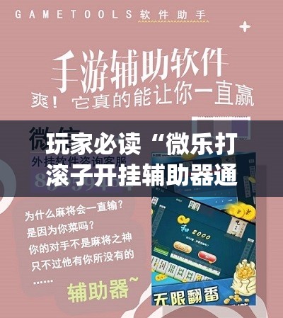 玩家必读“微乐打滚子开挂辅助器通用版”开挂(透视)辅助教程