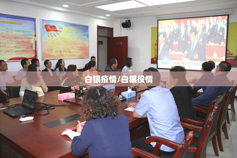 白银疫情/白银役情