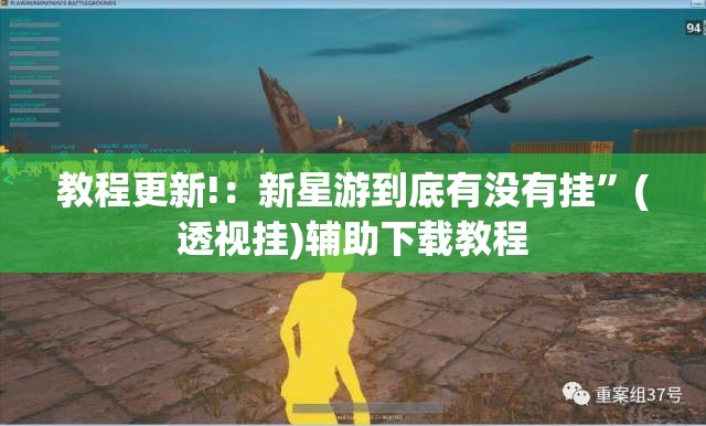 教程更新!：新星游到底有没有挂”(透视挂)辅助下载教程