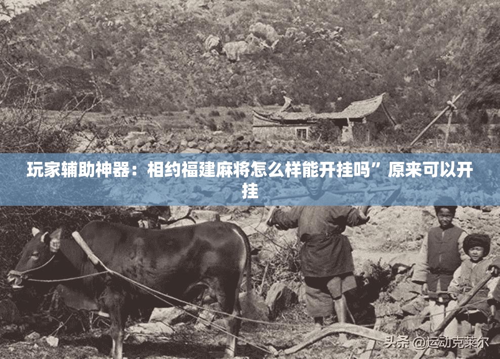 玩家辅助神器：相约福建麻将怎么样能开挂吗”原来可以开挂