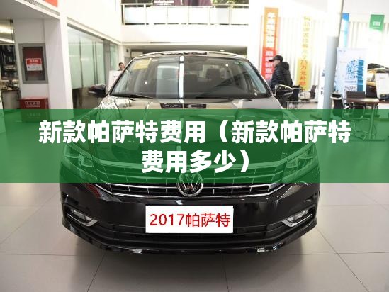 新款帕萨特费用(新款帕萨特费用多少) 新款帕萨特费用(新款帕萨特费用多少)