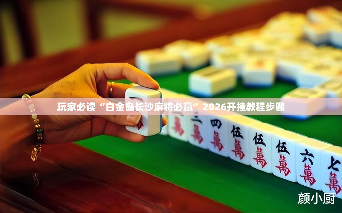 玩家必读“白金岛长沙麻将必赢”2026开挂教程步骤