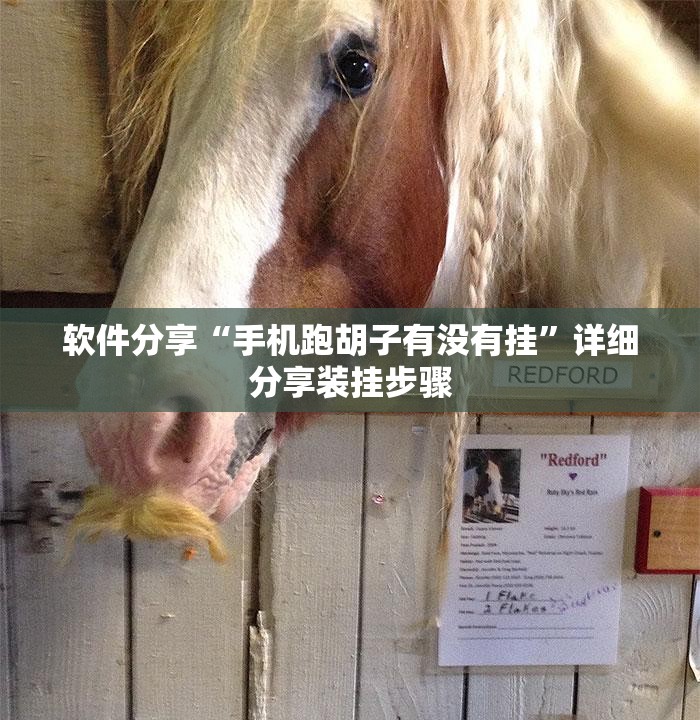 软件分享“手机跑胡子有没有挂”详细分享装挂步骤