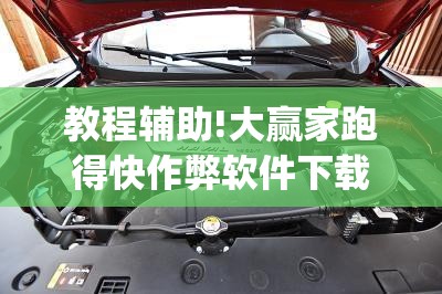 教程辅助!大赢家跑得快作弊软件下载(透视)”开挂辅助脚本+详细开挂安装教程