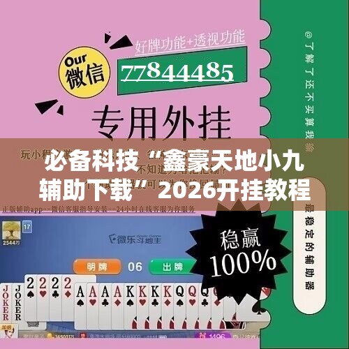 必备科技“鑫豪天地小九辅助下载”2026开挂教程步骤