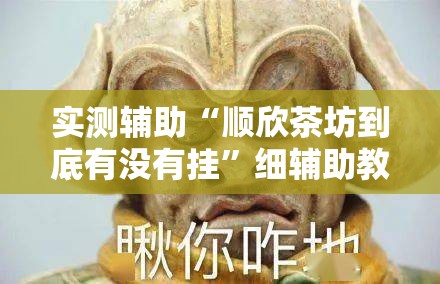 实测辅助“顺欣茶坊到底有没有挂”细辅助教程分享