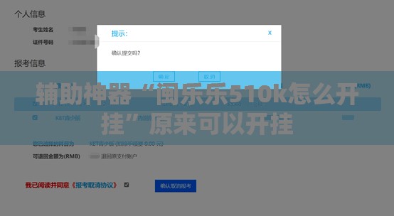 辅助神器“闽乐乐510k怎么开挂”原来可以开挂