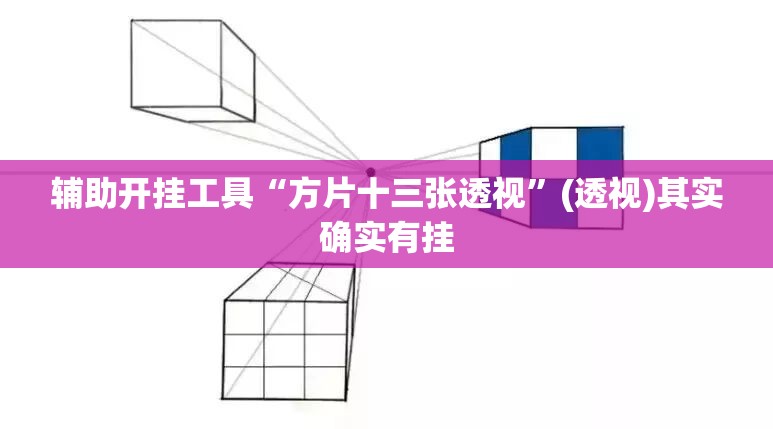 辅助开挂工具“方片十三张透视”(透视)其实确实有挂