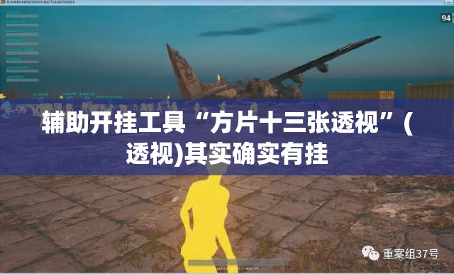 辅助开挂工具“方片十三张透视”(透视)其实确实有挂