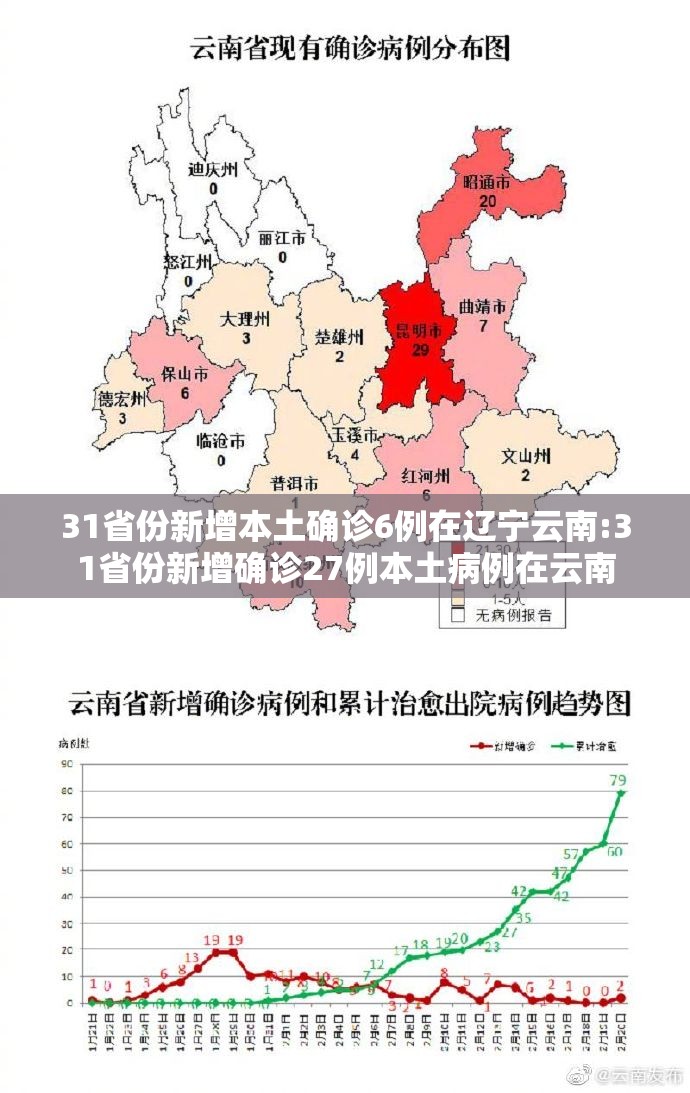 31省份新增本土确诊6例在辽宁云南:31省份新增确诊27例本土病例在云南 31省份新增本土确诊6例在辽宁云南:31省份新增确诊27例本土病例在云南
