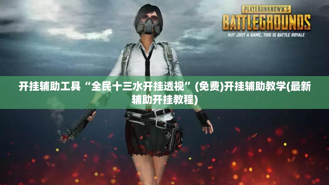 开挂辅助工具“全民十三水开挂透视”(免费)开挂辅助教学(最新辅助开挂教程)