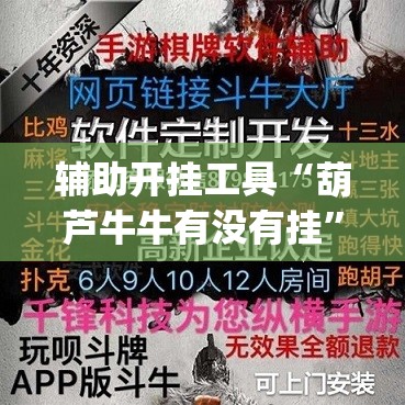 辅助开挂工具“葫芦牛牛有没有挂”开挂(透视)辅助神器