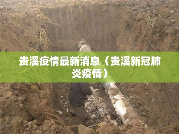 贵溪疫情最新消息（贵溪新冠肺炎疫情）