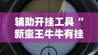 辅助开挂工具“新蛮王牛牛有挂吗”详细开挂教程