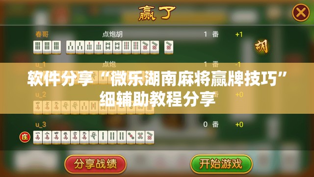 软件分享“微乐湖南麻将赢牌技巧”细辅助教程分享