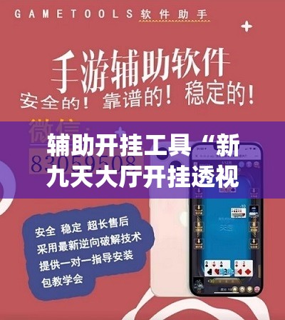 辅助开挂工具“新九天大厅开挂透视	”开挂(透视)辅助教程