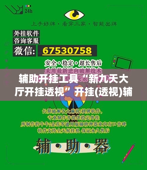 辅助开挂工具“新九天大厅开挂透视”开挂(透视)辅助教程