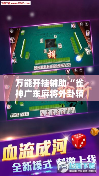 万能开挂辅助“雀神广东麻将外卦辅助软件下载”细辅助教程分享